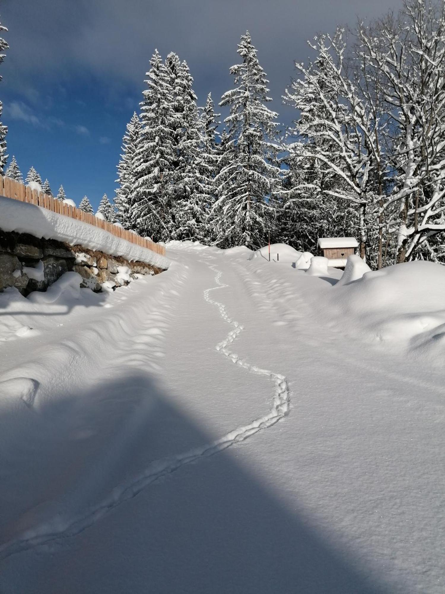 Chalet Stegerhof Appartement Schladming Exterior photo